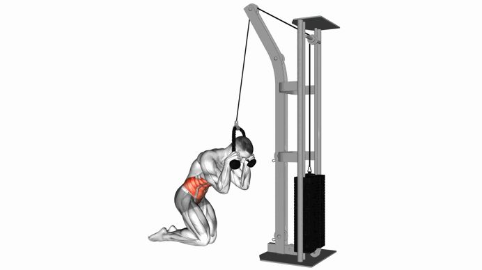 Cable Kneeling Crunch