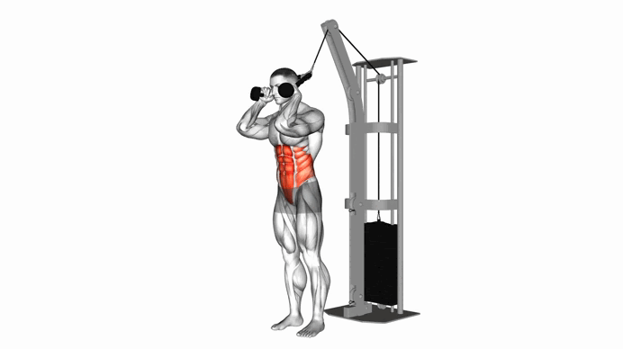 Cable Standing Crunch