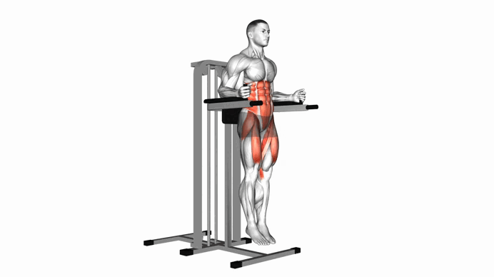 Vertical Leg Raise on parallel bars